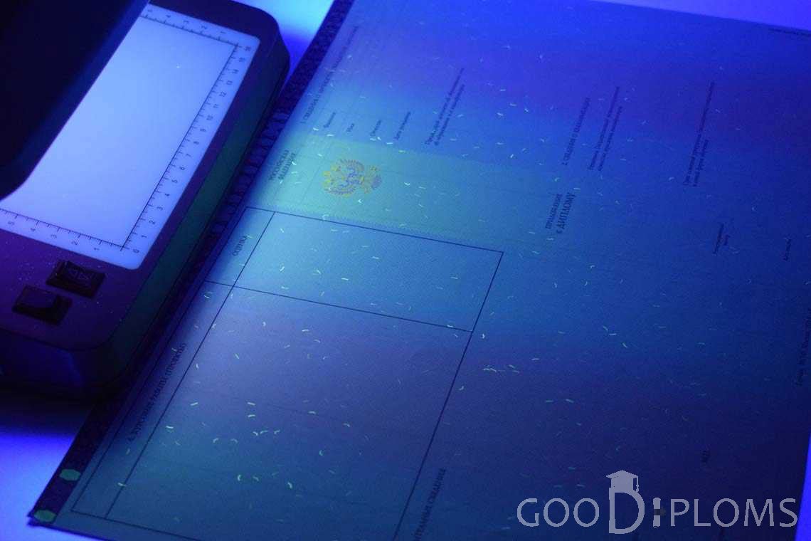 Приложение к Диплому Бакалавра с Отличием в Ультрафиолете период c 2013 по 2025 год - Ангарск
