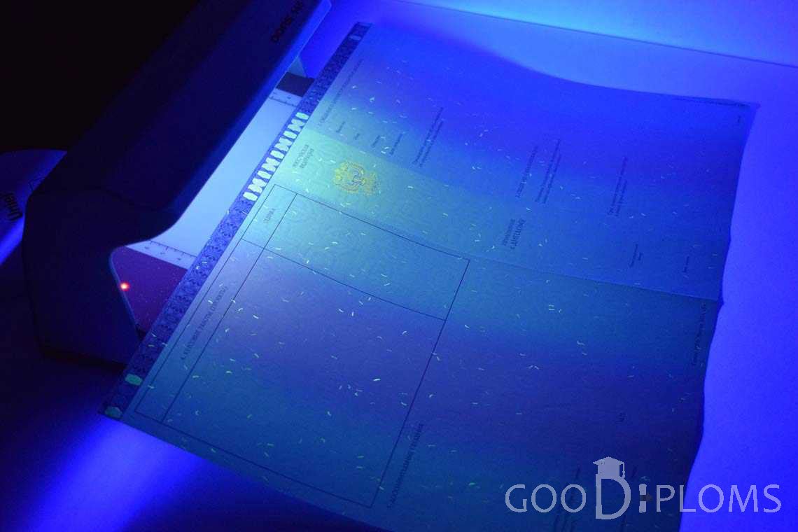 Приложение к Диплому Магистра в Ультрафиолете в период c 2014 по 2025 год - Ангарск