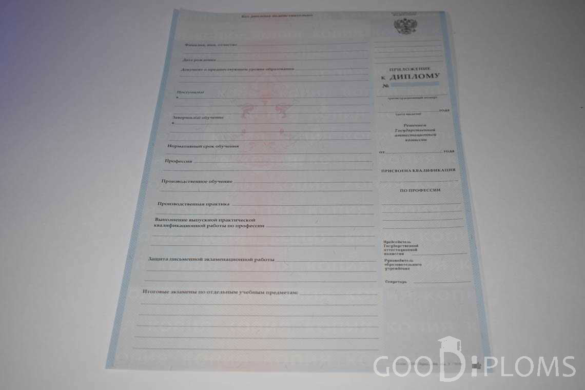 Приложение к Диплому Училища период выдачи 2007-2010  -  Ангарск