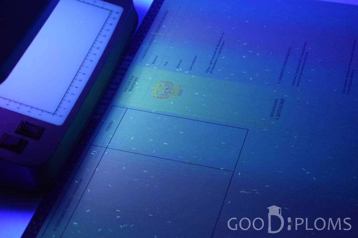 Приложение к Диплому о Высшем Образовании с Отличием в Ультрафиолете - Ангарск